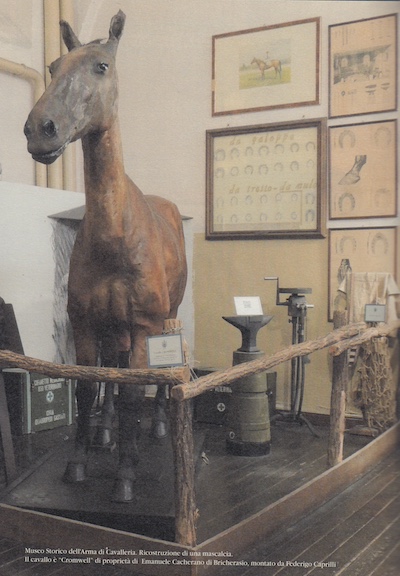 Il cavallo Cromwell di Emanuele Cacherano di
                  Bricherasio (Museo storico dell'Arma di Cavalleria,
                  Pinerolo). Il cavallo fu montato da Federigo Caprilli,
                  del quale ha scritto il colonnello Carlo Cadorna in
                  Equitazione naturale moderna (Grottaferrata,
                  Bcsmedia). La fotografia  tratta da Aa.Vv, Pinerolo,
                  mille anni di storia, a cura di Ilario Manfredini,
                  ed. Marcovalerio (Marco Civra), 2024, voll. 2). E' un'
                  opera editorialmente impeccabile, realizzata in due
                  soli anni, con eccellente corredo iconografico.